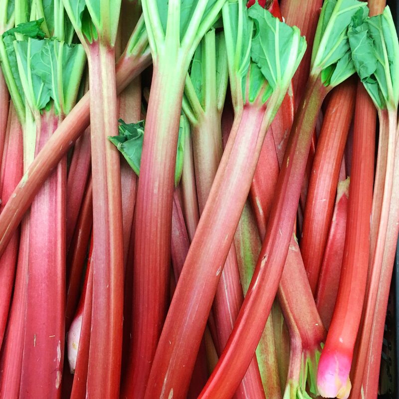 Victoria Rhubarb Plants For Planting Live Root - Large Crown Root Division - Heirloom - Outdoors - Spring, Fall Planting - Image 4