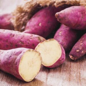 Alternative view of Japanese Red Sweet Potato Slips, Sweet Potato Vine Live Plant - 5 Rooted Plants - Non-Gmo Organic - Well Rooted - Zone: 10-11- Outdoors - Full Sun
