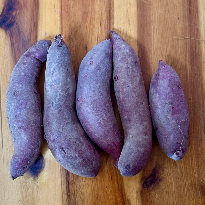 Purple Sweet Potato Slips, Sweet Potato Vine Live Plant - 3 Rooted Plants - Non-Gmo Organic - Well Rooted - Zone: 10-11- Outdoors - Full Sun - Image 3