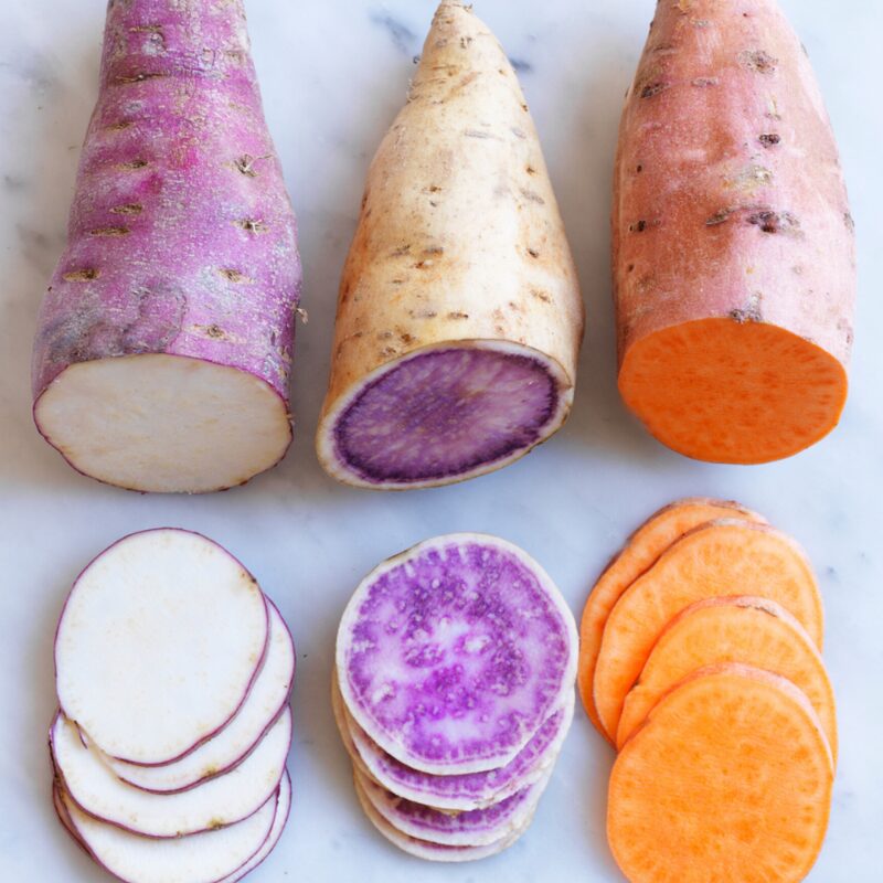 Mixed color Sweet Potato Slips, Sweet Potato Vine Live Plant - 20 Slips - Non-Gmo Organic - Well Rooted - Zone: 10-11- Outdoors - Full Sun