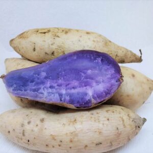 Okinawa Sweet Potato Slips, Sweet Potato Vine Live Plant - 15 Slips Non-Gmo Organic - Well Rooted - Zone: 10-11- Outdoors - Full Sun