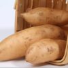 White Sweet Potato Slips, Sweet Potato Vine Live Plant - 15 Slips - Non-Gmo Organic - Well Rooted - Zone: 10-11- Outdoors - Full Sun