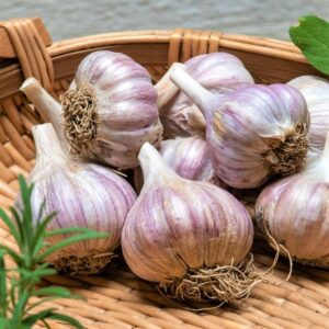 Alternative view of Garlic Bulbs