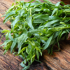 2 Texas Tarragon Plants Culinary Herb 4-8 inch