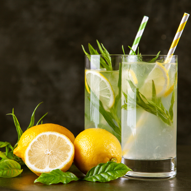 3 Tarragon Plants 4-8" Tall - Image 2