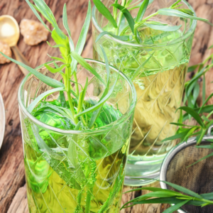 Alternative view of 2 Tarragon Plants 4-8" Tall
