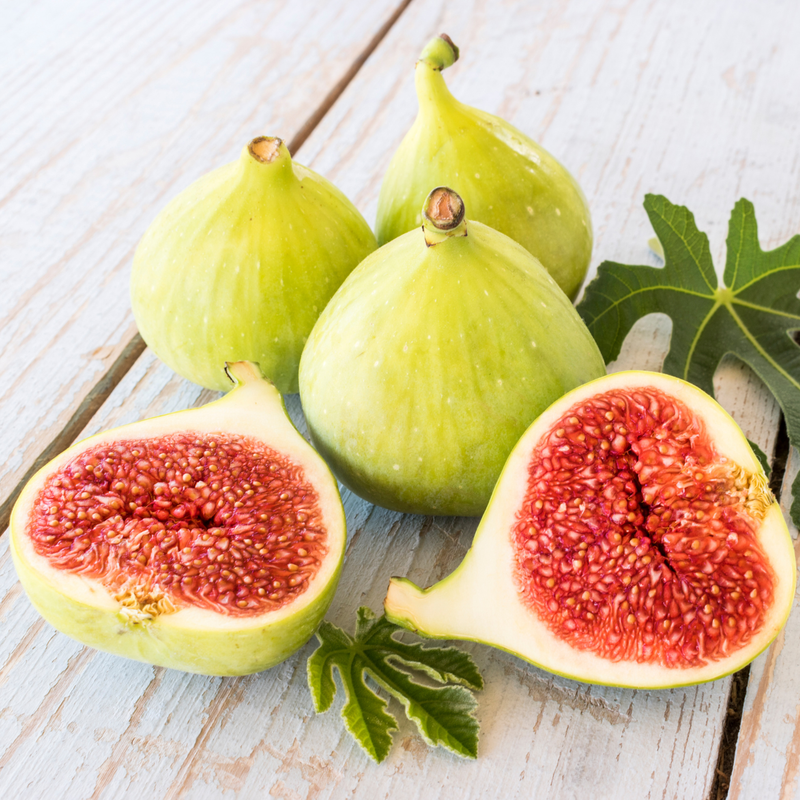 Set 2 Olympian Fig Trees 4-8 Inch Tall - Image 4