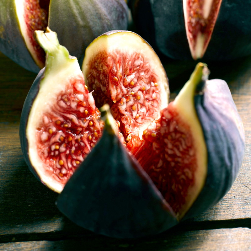 Chicago Hardy Fig Plant 4-8 Inc