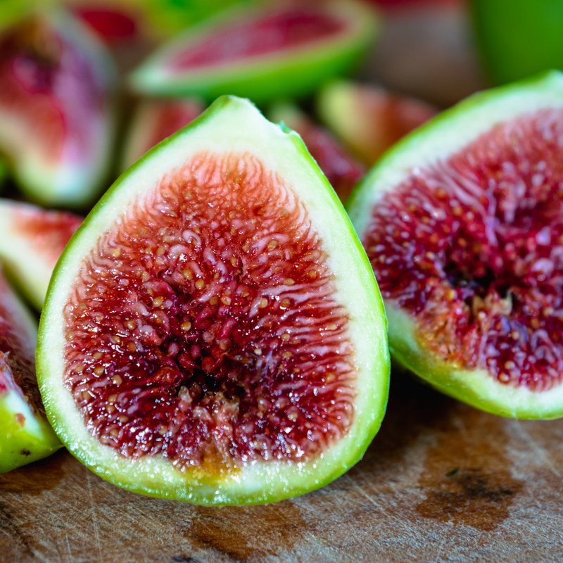 Brown Turkey Fig Plant 4-8 Inc - Image 2