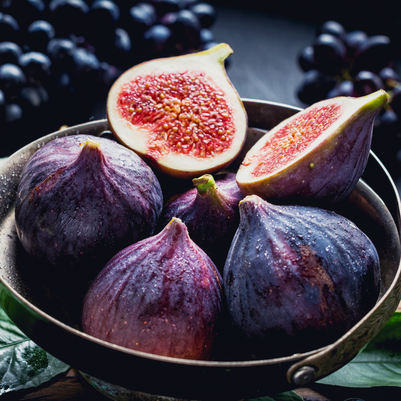 Celeste Fig Plant 4-8 Inc - Image 5