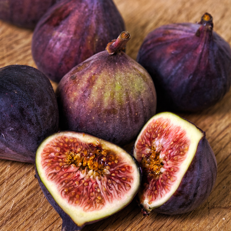 Celeste Fig Plant 4-8 Inc