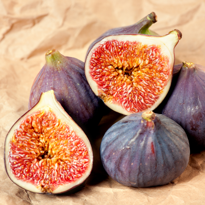 Violette De Bordeaux Fig Plant 4-8 Inc - Image 5