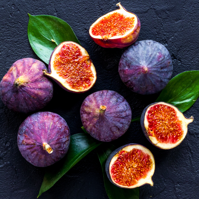 Violette De Bordeaux Fig Plant 4-8 Inc - Image 2