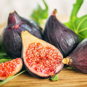 Violette De Bordeaux Fig Plant 4-8 Inc