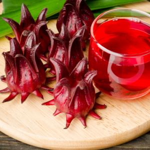 Alternative view of Red Roselle Hibiscus Plant, Sorrel Jamaica In 4" Pot