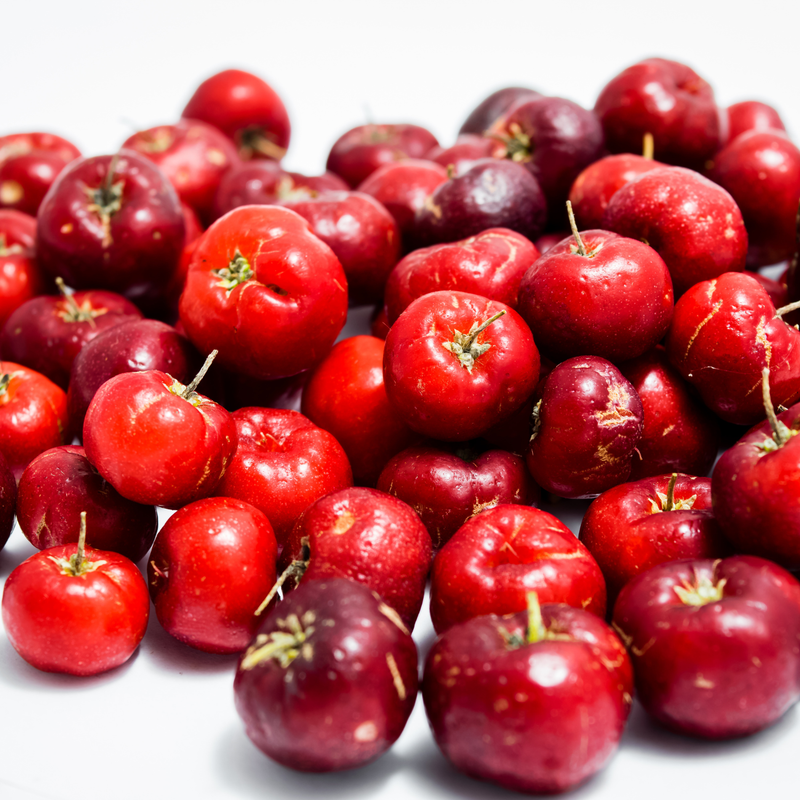 2 Dwarf Barbados Cherry Trees Live Plants Acerola 8 Inch - Image 5