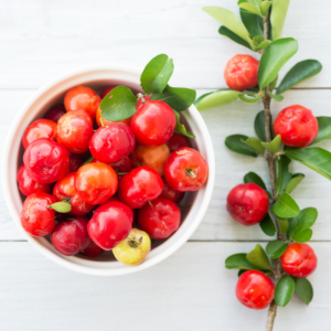 Alternative view of 2 Barbados Cherry Trees Acerola 5-8 Inch