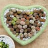 Mixed Lithops Living Stones Succulents - Succulent Lithops in Heart-Shaped Planter