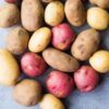 Seed Potatoes for Planting, Potato Seeds, Mixed Yukon Gold, Russet and Red Potato, Fresh Heirloom and Non GMO Potato Seeds, Potato Tuber, 2 Pound