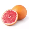 Red Ruby Grapefruit (Grafted) 2-4Ft Tall