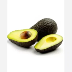 Winter Mexican Avocado Tree Grafted 2-3Ft Tall Cold Hardy