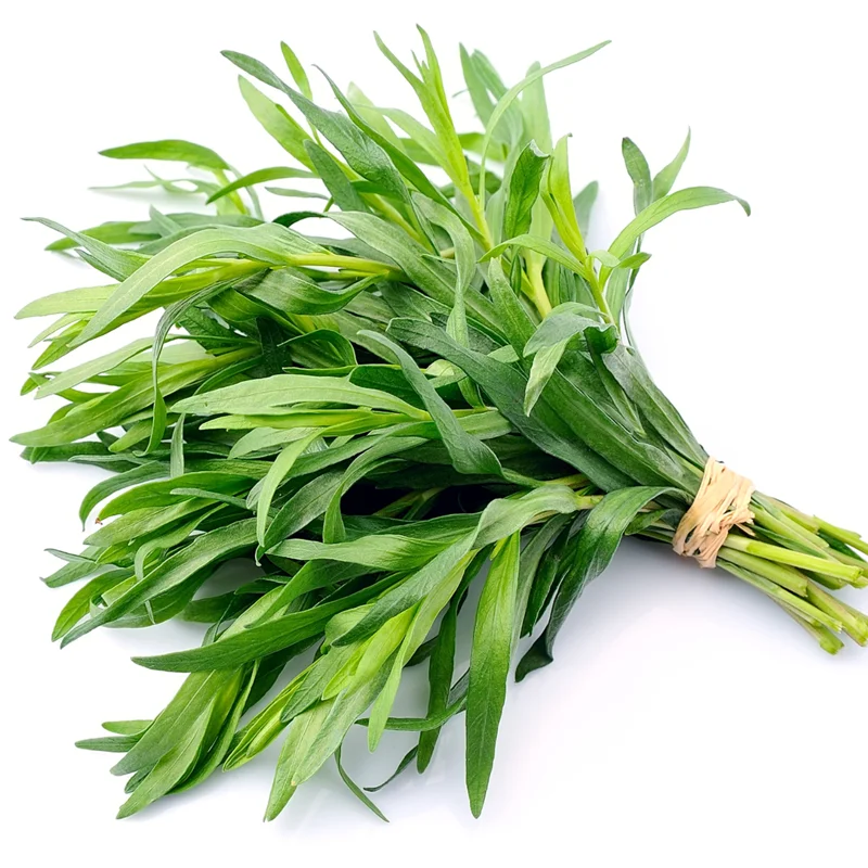 4 Packs Tarragon Live Plants - Texas Tarragon Herb for Indoor and Outdoor Garden - In 4 Inch Pot