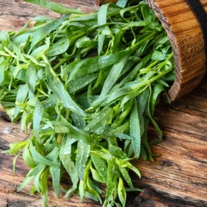 2 Pots Tarragon Plants Live, Tarragon Live Plant In 4 Inch Pot, Texas Tarragon Herb for Indoor or Outdoor Gardens