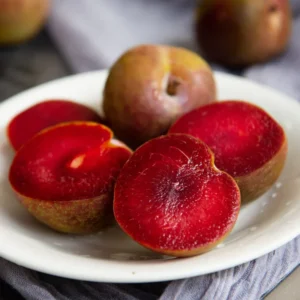 Flavor Plum Tree Live Plant, 4 Feet Tall, Potted 3 Gallon Flavor Plum, Great for Outdoor Fruit Gardens and Abundant Harvest