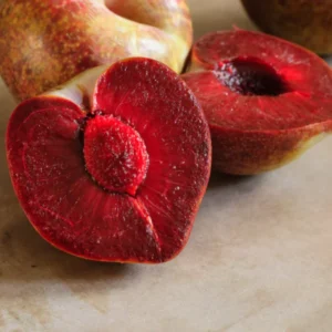 Flavor Plum Tree Live Plant, 4 Feet Tall, Potted 3 Gallon Flavor Plum, Great for Outdoor Fruit Gardens and Abundant Harvest