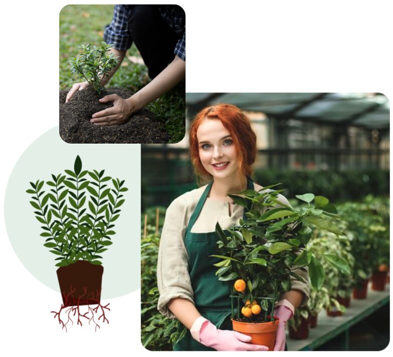 plants and woman holding plants