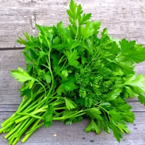 Parsley Plants Live, Set 3 Plants, Live Parsley Plants For Garden, 4 to 6 Inches Tall