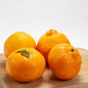 Tangerine Tree, Live Grafted Ponkan Mandarin Tangerine Tree From 2 To 3 Feet Tall In 1 Gallon Pot
