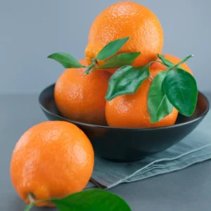 Orange Tree, Live Grafted Minneola Orange Tree - Live Orange Fruit Tree 3 Feet Tall In Gallon Pot