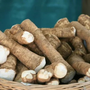 2 Pounds Bareroot Horseradish Roots – Hardy Live Horseradish Crowns for Easy Growing and Planting - Sold by Weight