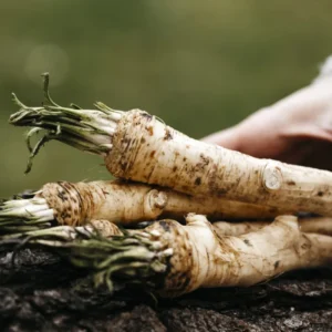 4Lbs Horseradish Bareroot Crowns – Fresh Live Horseradish Roots for Planting, Packed by Weight