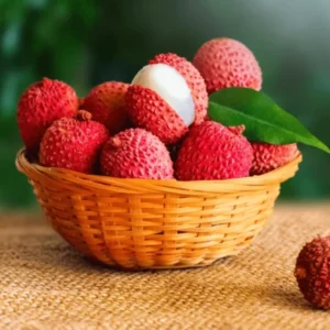 Sweet Lychee Tree Live Plant – 5 to 9 Inches Tall Litchi Fruit Tree for Outdoor Gardens (Zone 9-12)