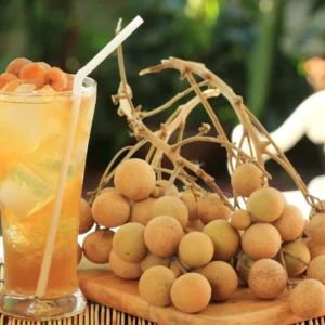 Live Longan Tree Plant – 5 to 9 Inches Tall Sweet Longan Fruit Tree for Gardening Outdoors