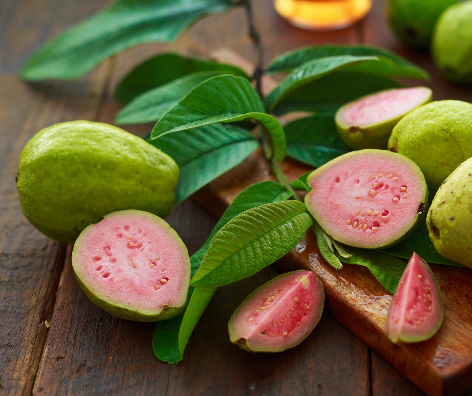 Everything You Need to Know About Ruby Supreme Red Guava: The Perfect Addition to Your Garden