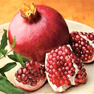 Pomegranate Tree Live Plant, 5 to 6 Inch Tall, Bareroot Pomegranate Plant, Pomegranate Fruit Tree,