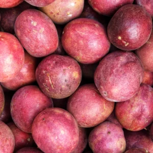 Passion Fruit Tree, 4 to 8 Inch Tall, Passion Fruit Tree Live Plant, Passionfruit Tree - Purple