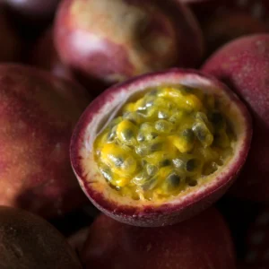 Passion Fruit Tree, 4 to 8 Inch Tall, Passion Fruit Tree Live Plant, Passionfruit Tree - Purple