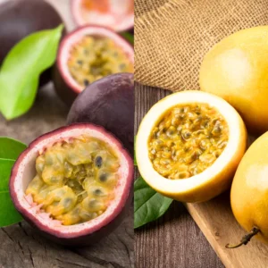 Passionfruit Plant Live, Passion Fruit Plant for Planting Outdoors, Passion Fruit Tree, Low Maintenance - Yellow