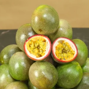 Passion Fruit Plant, 4 to 8 Inch Tall, Well Rooted, Passion Fruit Tree, Passion Fruit Tree Live Plant, Passionfruit Tree - Purple