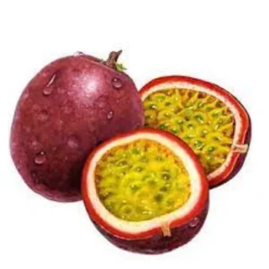 Passion Fruit Plant, 4 to 8 Inch Tall, Well Rooted, Passion Fruit Tree, Passion Fruit Tree Live Plant, Passionfruit Tree - Purple