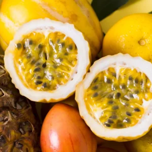 Passion Fruit Plant, 4 to 8 Inch Tall, Well Rooted, Passion Fruit Tree, Passion Fruit Tree Live Plant, Passionfruit Tree - Yellow