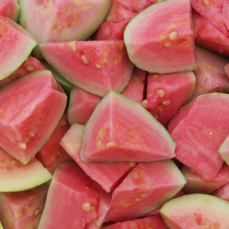 Pink Guava Tree Live Plant, Tropical Guava Fruit Tree for Planting Garden Indoor Outdoor 4" to 7" Tall