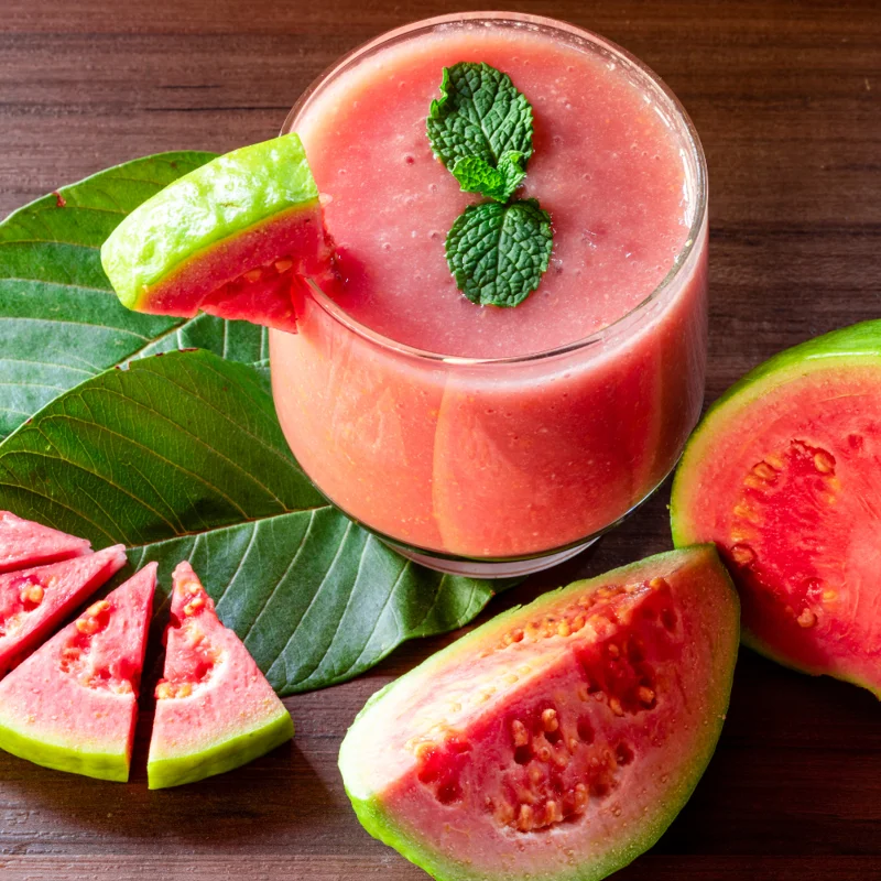 Pink Guava Tree Live Plant, Tropical Guava Fruit Tree for Planting Garden Indoor Outdoor 4" to 7" Tall