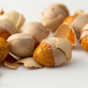 5 Ginkgo Trees Live Plants Bare Roots, 7-12 Months Old Ginkgo Tree, Maidenhair Tree Ginkobiloba for Gardening And Planting