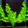Set of Live Aquarium Plant Tropical Freshwater Decorations, Fresh Water Aquatic Plants for Pond, Aquarium Plants Live for Tank Beginner