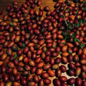 Red Lime Tree, Lime Tree Live Plant, Lemon Plant Live Potted From 2 To 3 Feet Tall, Grafted Tree No Ship To CA